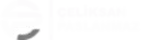 logo beyaz celiksan